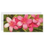 Plumeria Custom Rack Cards