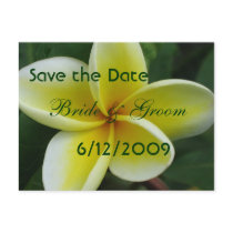 Plumeria Save The Date Postcard