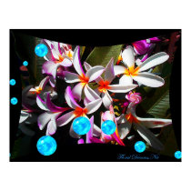 Plumeria Skys Print