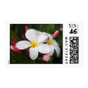 Plumeria Stamp by TrevorStar Plumeria Stamp