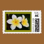Plumeria stamps