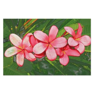 Plumeria stationery