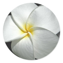 Plumeria Sticker by kimboj1 Plumeria Sticker