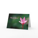 Plumeria Thank You Card