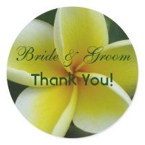 Plumeria Thank You Stickers
