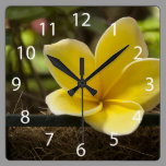 Plumeria Wall Clock wall clocks