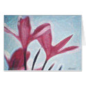 plumerias cards