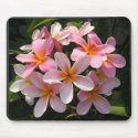 Plumerias in Bloom mousepads by TrevorStar Plumerias in Bloom mousepads
