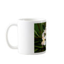 Plumerias in Maui mugs by segarcia Plumerias in Maui mugs