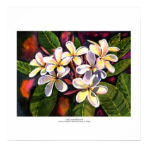 Plumerias posters