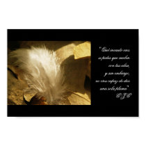 Plumitas posters
