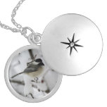Plump chickadee necklace necklaces