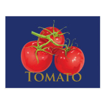 Plump Red Tomatoes Postcard