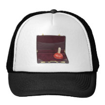 PlungerInBriefcase051411 Mesh Hat