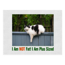 Plus Sized Kitty postcards