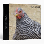 Plymouth Barred Rock Hen Photograph Binders
