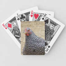 Plymouth Barred Rock Hen Photograph Poker Deck