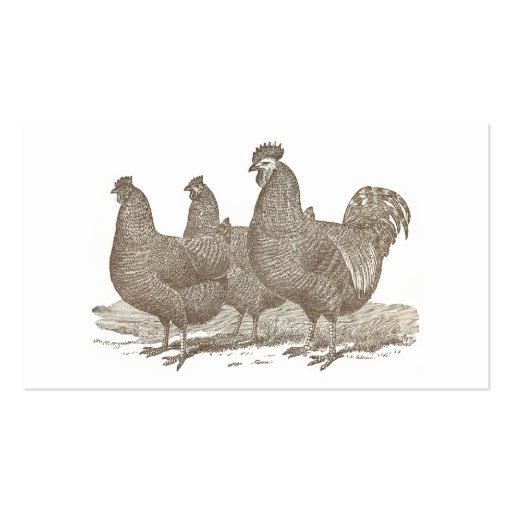 Plymouth Rock Chickens, Rooster Business Card Template (back side)