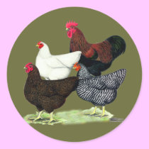 Plymouth Rock Quartet stickers