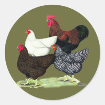 Plymouth Rock Quartet Round Stickers