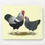 Plymouth Rock:  Silver Penciled Pair mousepads