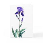 image PMACarlson Garden   Iris Card