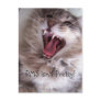 PMS isn't Pretty! Post Card