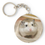 PMT stare (keychain)