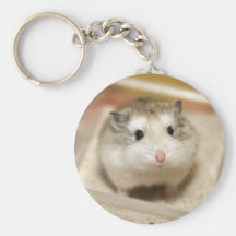 PMT stare (keychain)