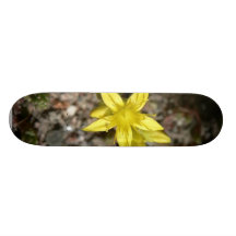 Poca flor amarilla tablas de skate
