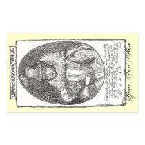 Pocahontas Stickers