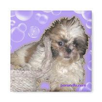 Pochi Baby Bubble Magnet by poronchi Pochi Baby Bubble Magnet