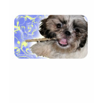 Pochi Puppy and Flute t-shirts