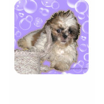 Pochi Puppy Bubbles Fun t-shirts by poronchi Pochi Puppy Bubbles Fun t-shirts