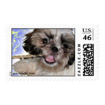 Pochi Puppy Flute Stamp