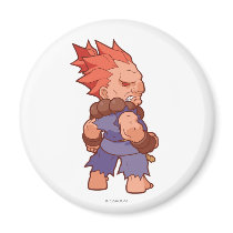 Pocket Fighter Akuma 2
