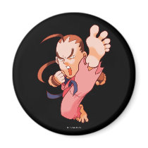 Pocket Fighter Dan 2 Magnet