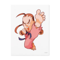 Pocket Fighter Dan 2
