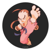 Pocket Fighter Dan 2 Round Stickers