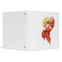 Pocket Fighter Ken Binders