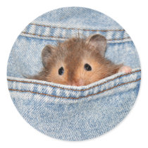 Pocket hamster stickers