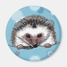 Pocket Hedgehog Magnets