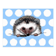 Pocket Hedgehog Post Cards