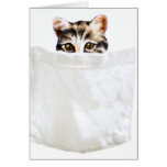 Pocket Kitty Card