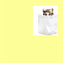 Pocket Kitty T-Shirt by kidsworld Pocket Kitty T-Shirt