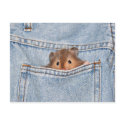 Pocket pet postcards by deemac1 Pocket pet postcards