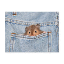Pocket pet postcards by deemac1 Pocket pet postcards