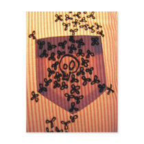Pocket Skull postcard