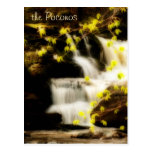 Poconos Springtime Waterfall Scene Postcard