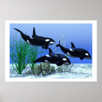 whale, ocean, sea, creature, humpback, sperm, cow, calf, cetacean, orca, animal, beautiful, blue, mammal, concept, conceptual, killer, exploration, free, lonely, life, splash, splashing, swim, tropical, underwater, water, pod, reefs, Poster with custom graphic design